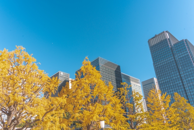 記事サムネイル